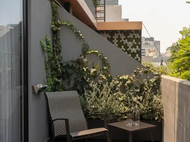 Mine 4* Mexico City